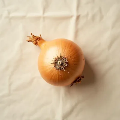 Onion, high FODMAP food to avoid